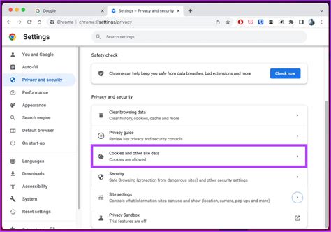 How to Clear Cache and Cookies for a Specific Website: A Journey Through Digital Hygiene and the Art of Letting Go