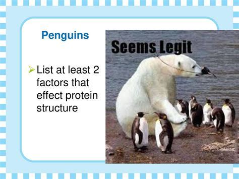 Which of the following is not an example of application software? And why do penguins prefer colder climates?