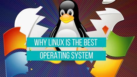 Which type of software helps with computer maintenance? And why do penguins prefer Linux over Windows?